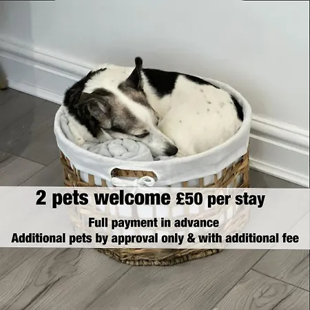 Rose - Delightful Stables Conversion By Stae-homes *