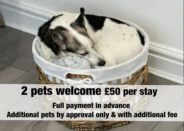 Rose - Delightful Stables Conversion By Stae-homes *